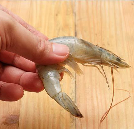 طرز پاک کردن میگو و پخت آن طرز پاک کردن میگو و پخت آن