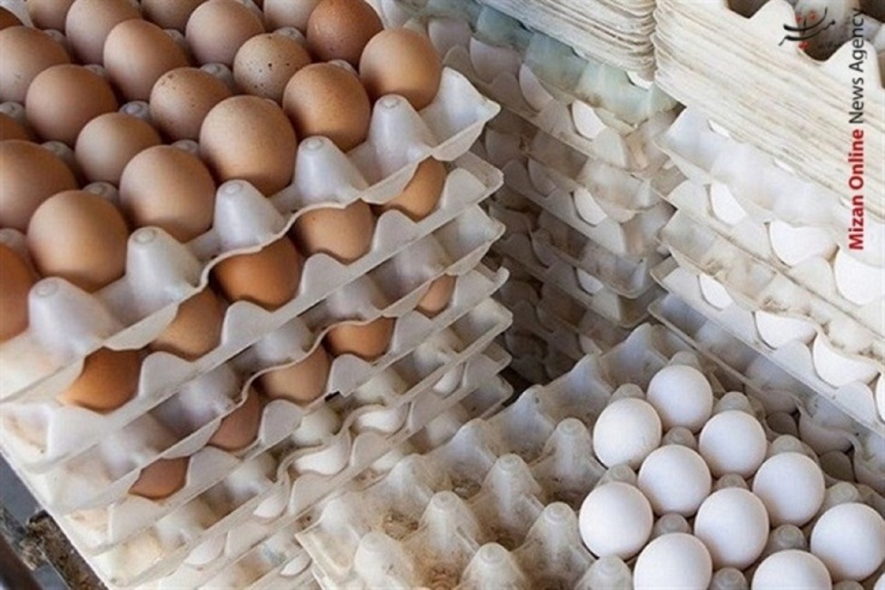 هر شانه تخم مرغ به ۵۳ هزار تومان رسید