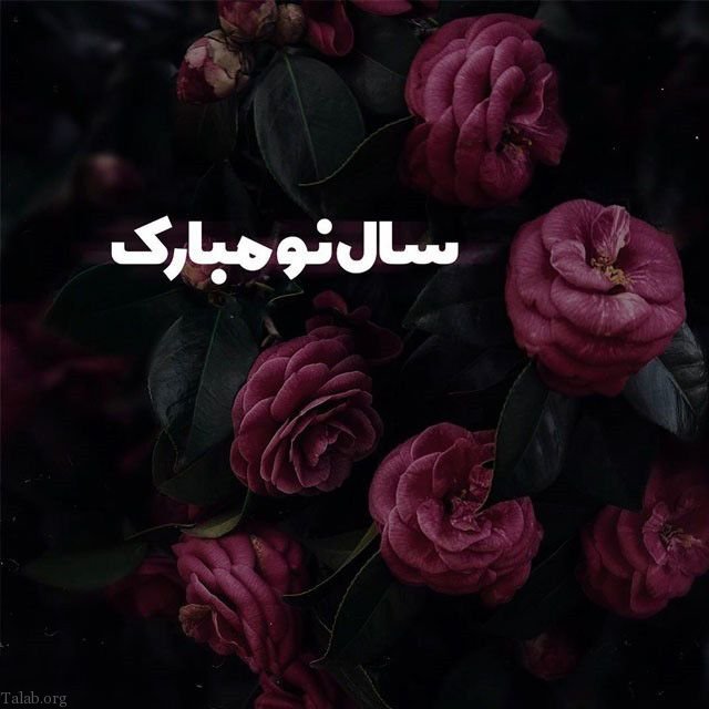 عکس پروفایل عید نوروز 99 + عکس نوشته های تبریک عید نوروز 1399