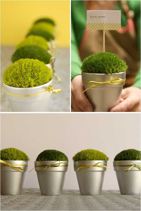 تزیینات زیبای سبزه عید,مدل سبزه هفت سین