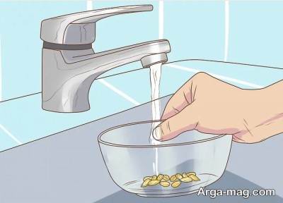 خیس کردن هسته درون آب