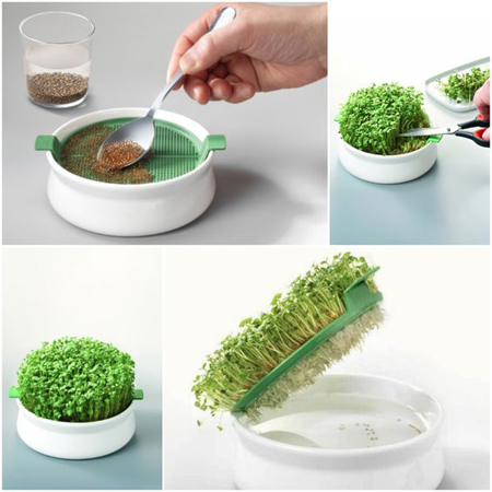 مدل سبزه سفره هفت سین, تزیین سبزه هفت سین