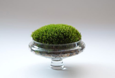 سبزه عید نوروز, مدل سبزه هفت سین