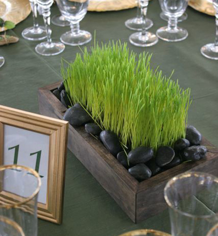 مدل سبزه عید,سبزه عید نوروز