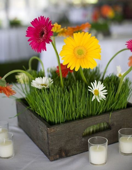 مدل سبزه هفت سین, جدیدترین مدل سبزه عید