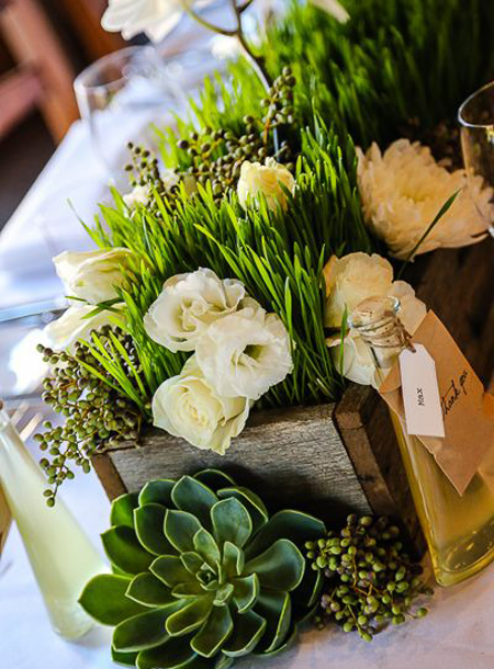 شیک ترین سبزه های عید, سبزه های هفت سین