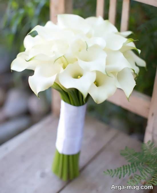 شاخه های گل عروس 2020