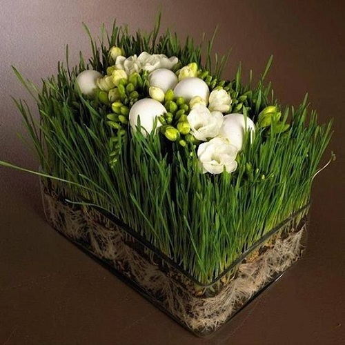 مدل سبزه عید 1401