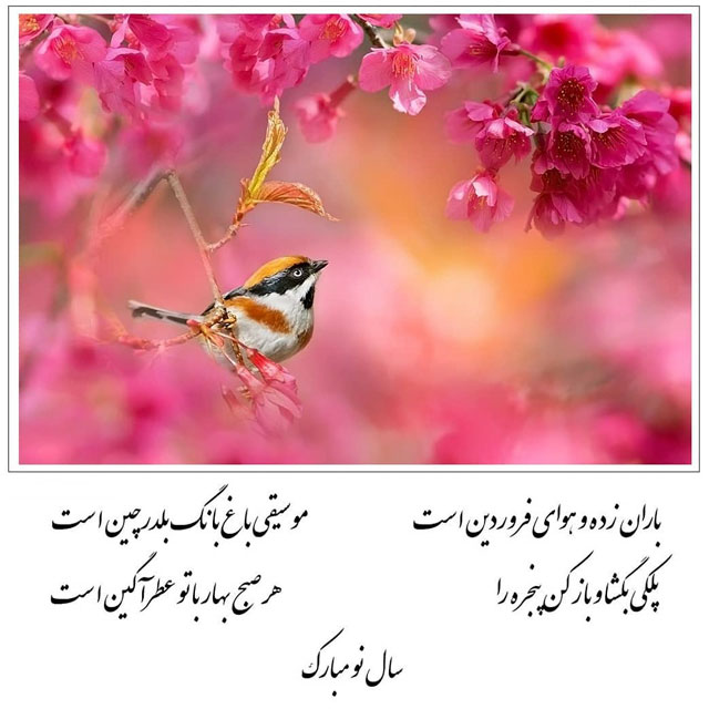 عکس نوشته تبریک عید نوروز ۱۴۰۱