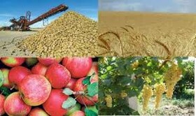 تکلیف مجلس به وزارت کشاورزی برای افزایش تولید محصولات اساسی کشاورزی