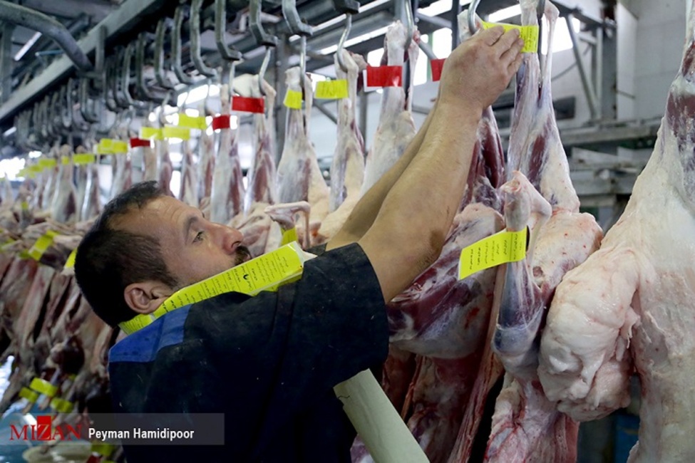 تنظیم بازار گوشت قرمز با عرضه ذخایر موجود/ افزایش تقاضا عامل رشد قیمت گوشت قرمز در آستانه نوروز است