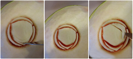 تزیین میوه شب یلدا،میوه ارایی شب یلدا تزیین میوه شب یلدا جدید,ابتکارات شب یلدا