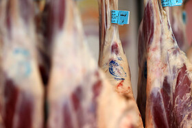 دستور دولت برای واردات گوشت گرم گوسفندی تا سقف ۱۰ هزار تن