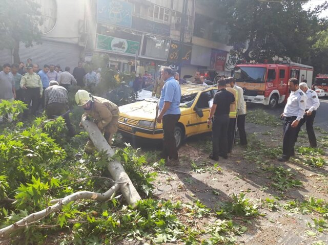 سقوط ۱۳ درخت در پی وزش باد شدید در اصفهان
