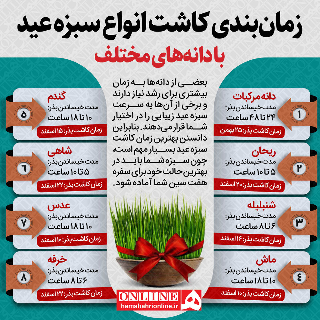 زمانبندی کاشت انواع سبزه عید