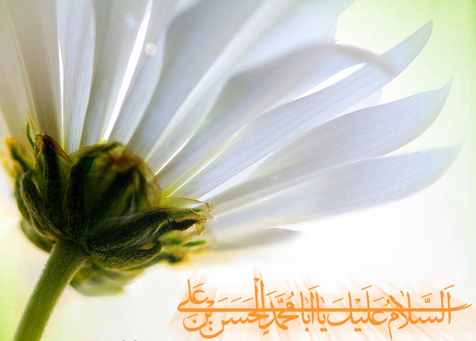 امام حسن مجتبی