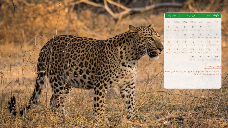 عکس تقویم خرداد 1401 با کیفیت فول اچ دی برای دسکتاپ