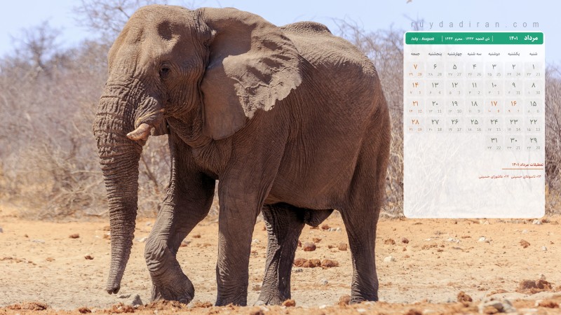 عکس تقویم مرداد 1401 با کیفیت فول اچ دی برای دسکتاپ