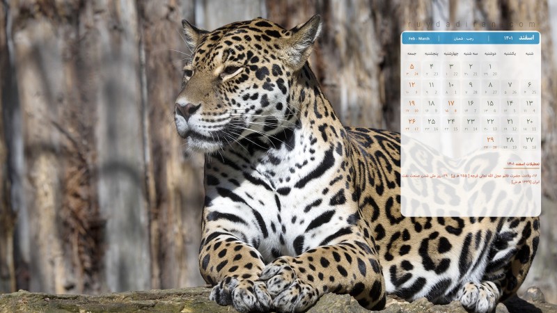 عکس تقویم اسفند 1401 با کیفیت فول اچ دی برای دسکتاپ