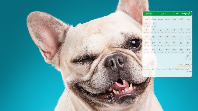 عکس تقویم اردیبهشت 1401 با کیفیت فول اچ دی برای دسکتاپ