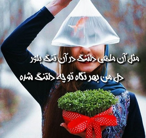 عکس نوشته تبریک عید نوروز به همسر