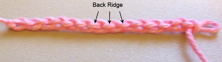 حلقه پشتی زنجیره