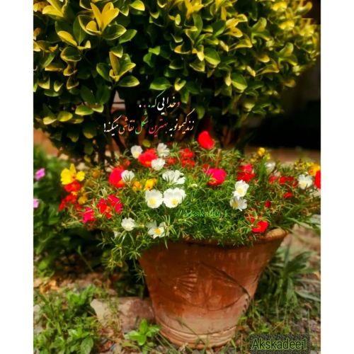 عکس پروفایل با موضوع خدا