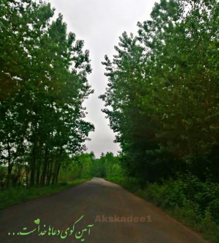 عکس پروفایل با موضوع خدا