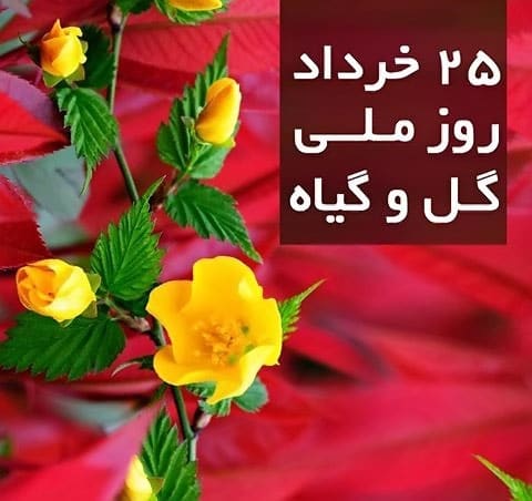 روز ملی گل و گیاه