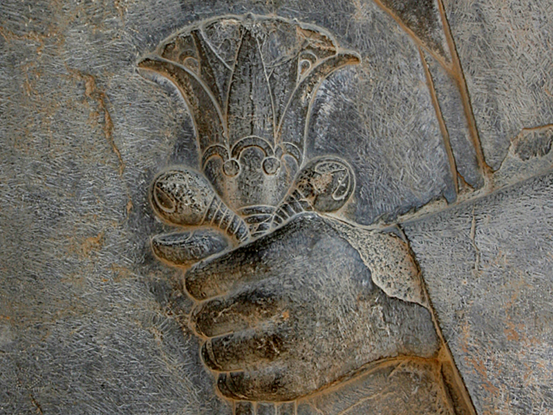 نقش لوتوس در تخت جمشید