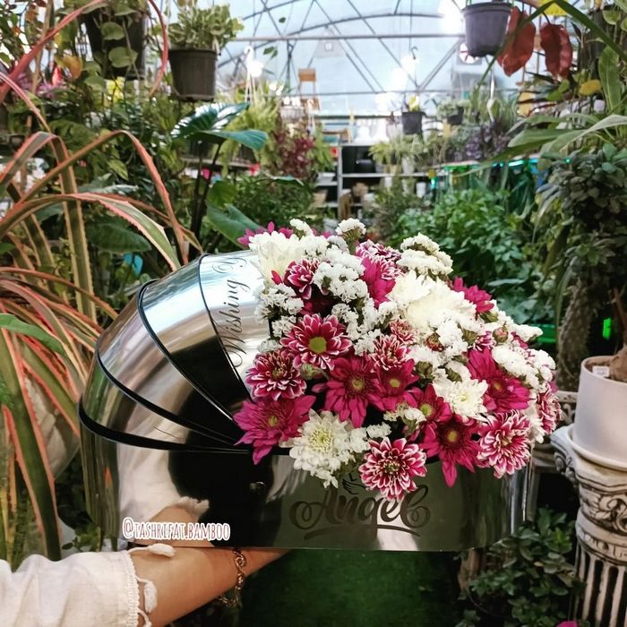 مدل باکس گهواره نوزاد