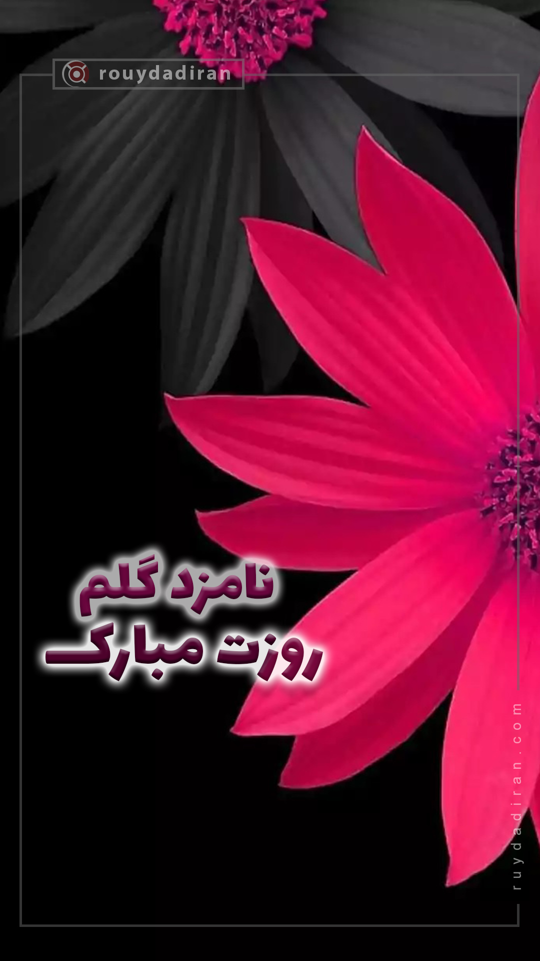 استوری تبریک روز دختر 1401