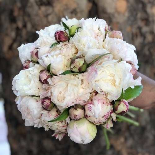 مدل دسته گل عروس  1401