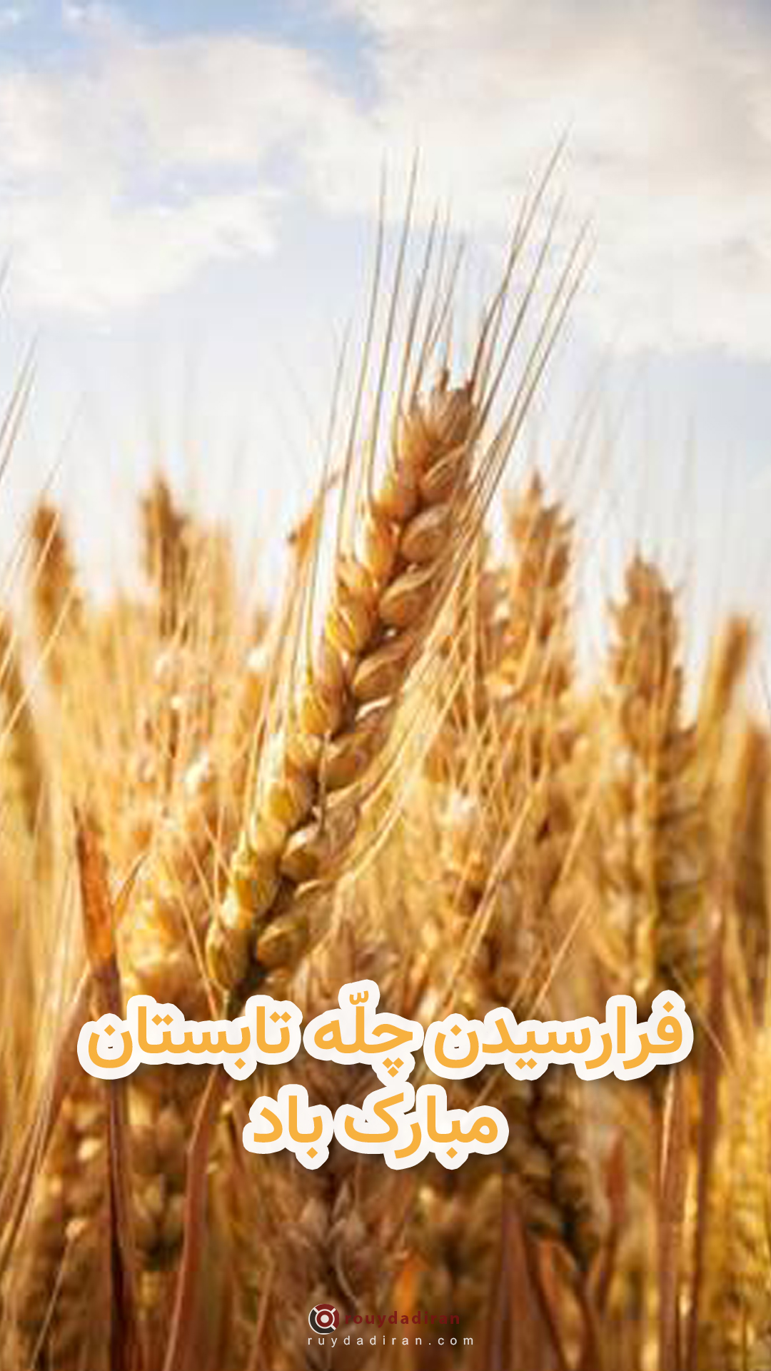 عکس چله تابستان چله تموزبرای استوری