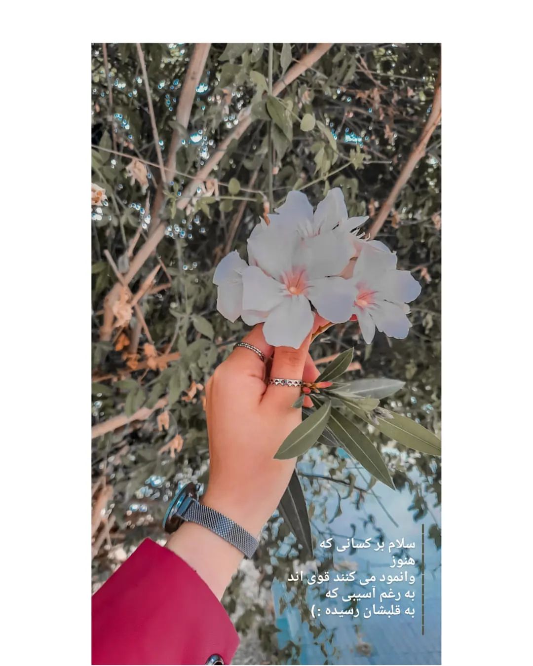 عکس پروفایل دخترونه جدید 1401