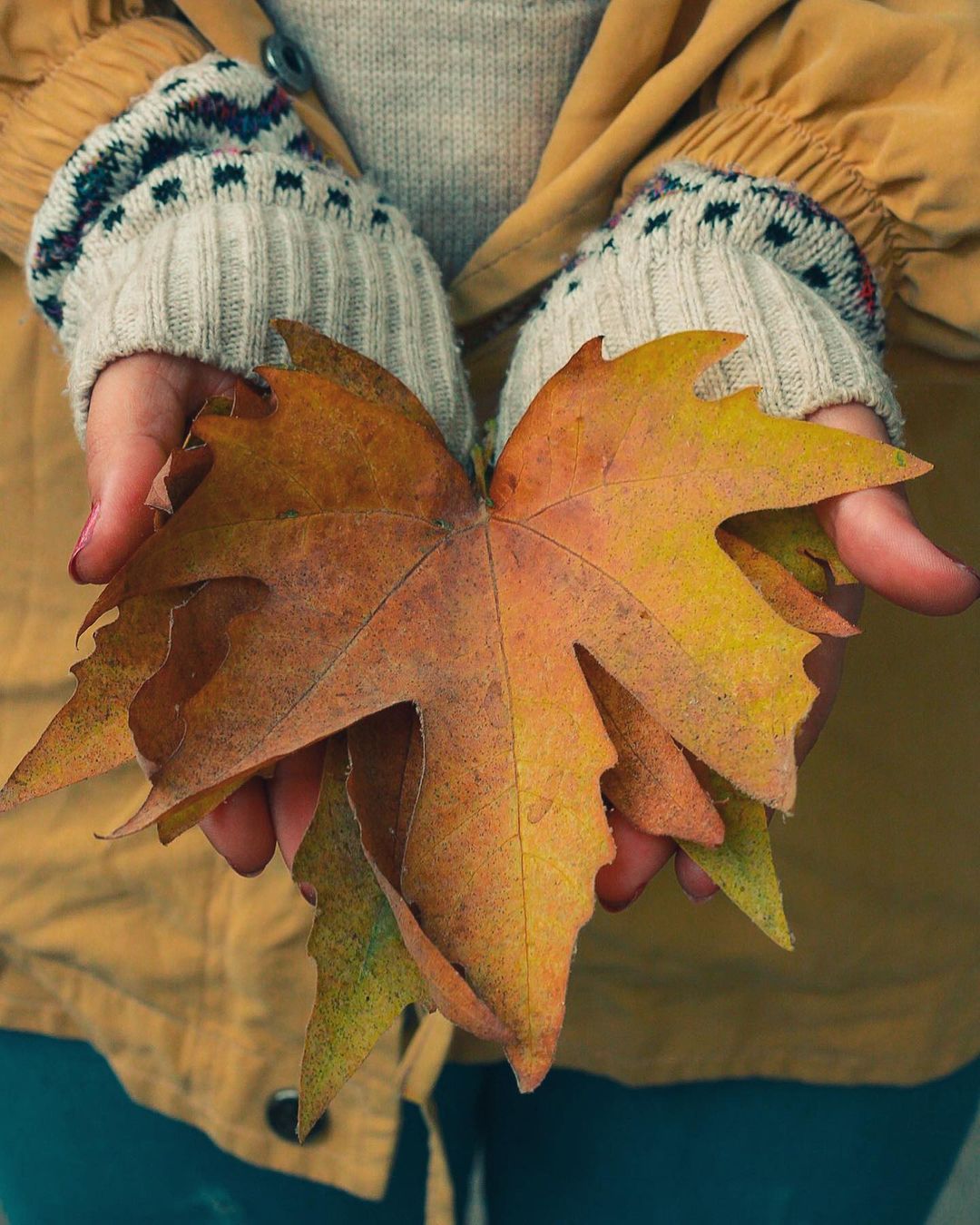 پروفایل پاییز