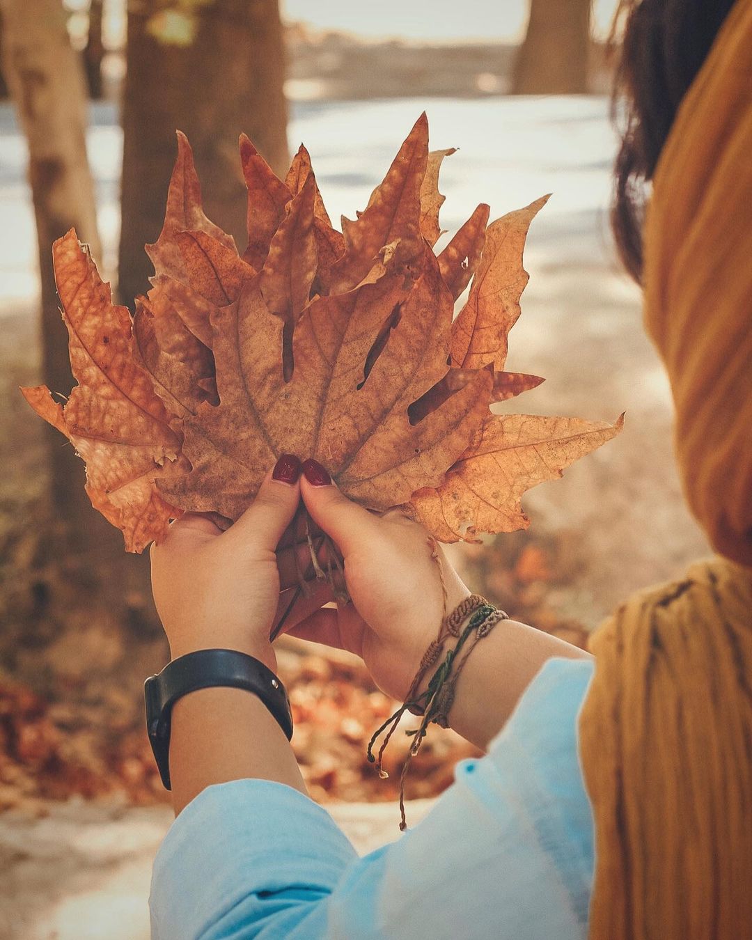 پروفایل پاییز