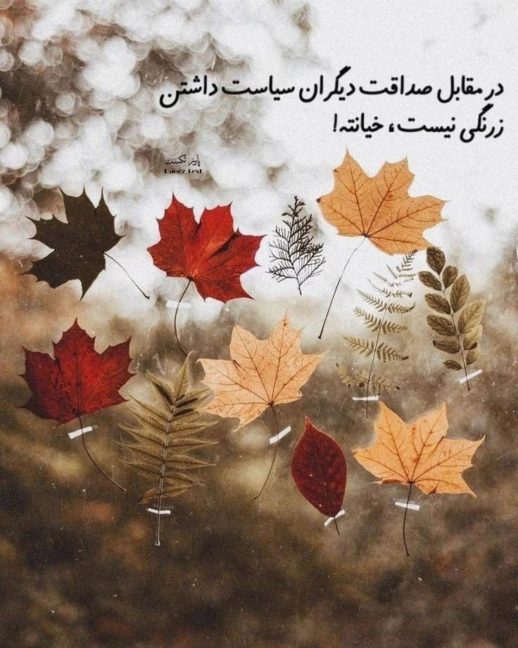 پروفایل پاییز
