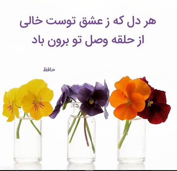 عکس در مورد بزرگداشت حافظ