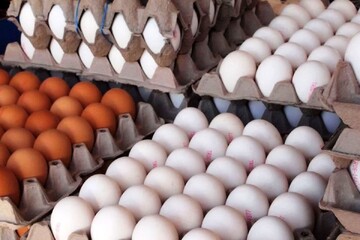 تخم‌مرغ در آستانه ۱۰۰هزارتومانی شدن/ افزایش قیمت در راه است؟