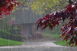 بارش باران در شمال کشور/ ورود گرد و خاک از عراق به مرزهای غربی