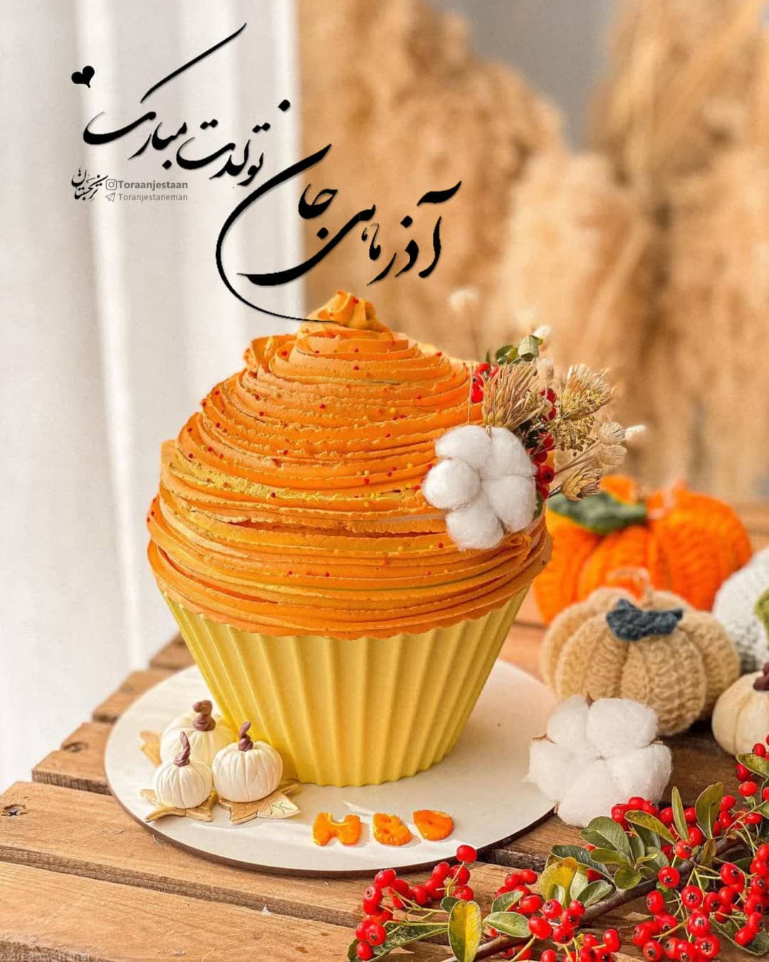 پروفایل برای آذر ماهی ها
