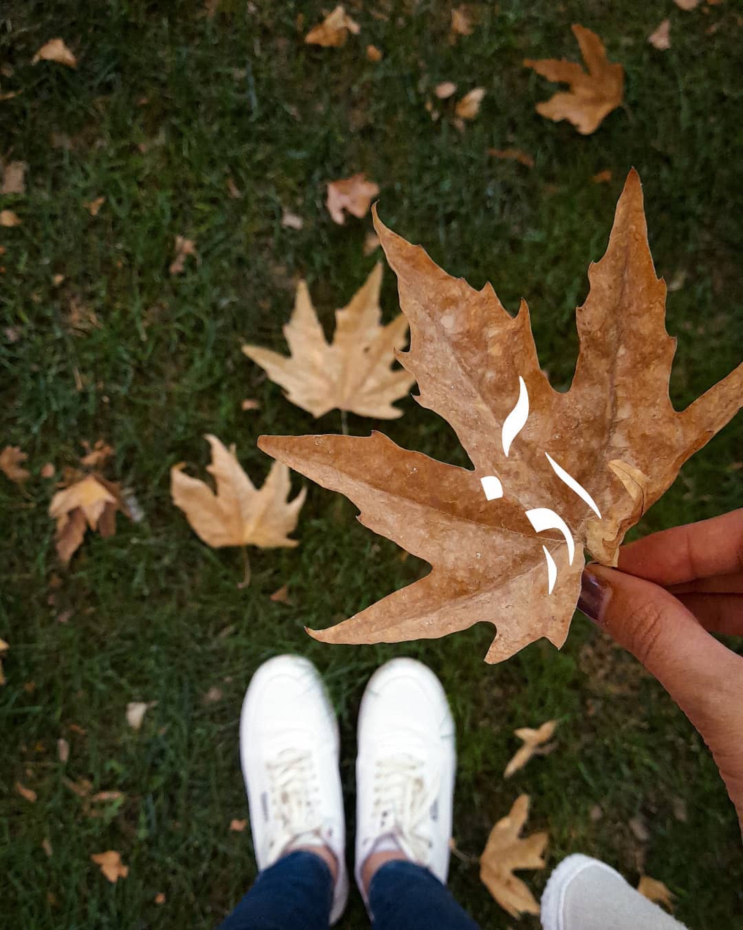 پروفایل آذرماهی