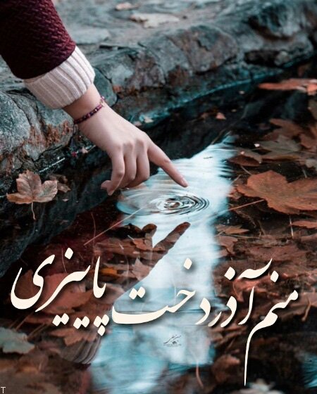 پروفایل آذرماهی