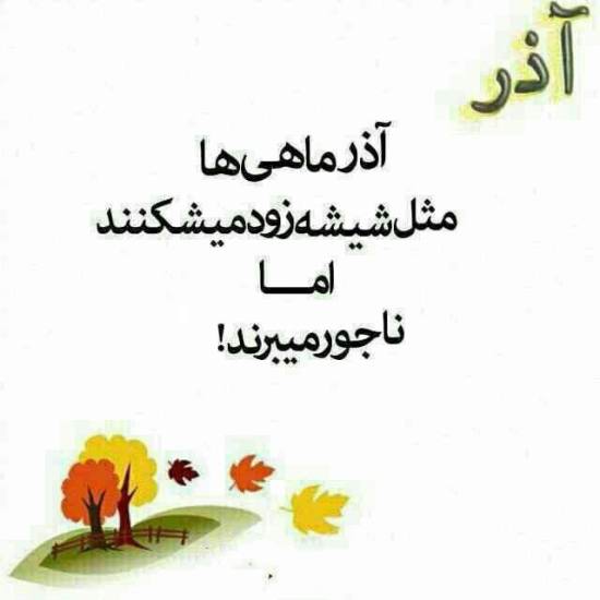 پروفایل آذرماهی