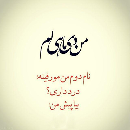 عکس پروفایل دی ماهی