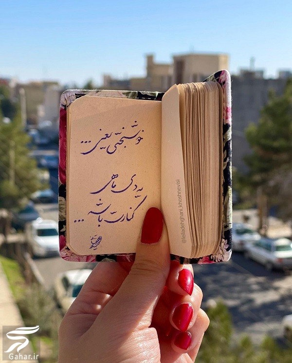 عکس پروفایل دی ماهی
