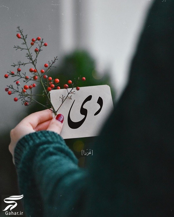 عکس پروفایل دی ماهی