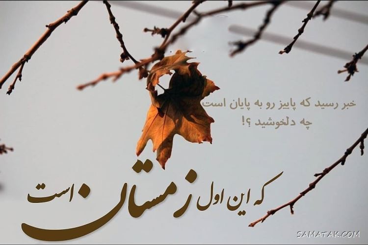 عکس پروفایل دی ماهی