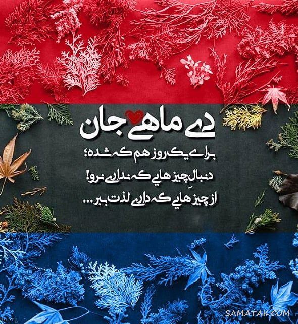 عکس پروفایل دی ماهی